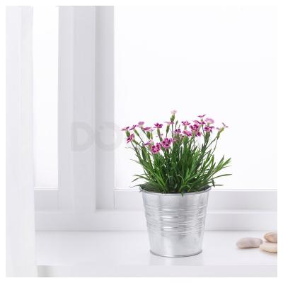 DIANTHUS 504.933.92 IKEA (ИКЕА ДИАНТ), фото 2