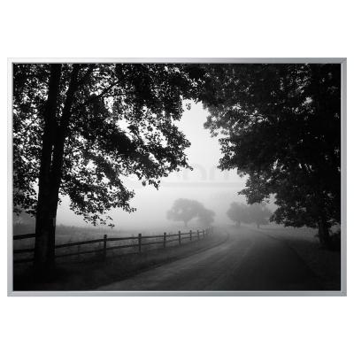 Картина BJÖRKSTA 494.168.61 IKEA (ИКЕА БЬЁРКСТА), фото 1