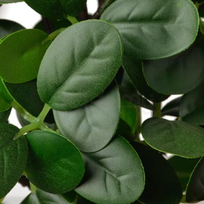 Комнатное растение FEJKA 904.933.85 IKEA (ИКЕА ФЕЙКА), фото 3