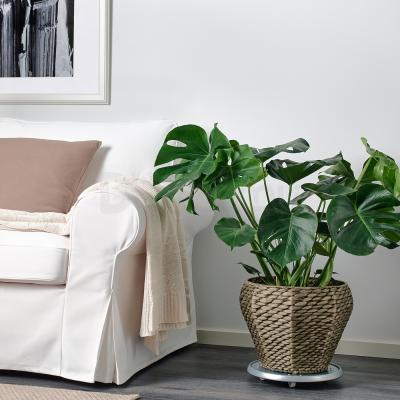 Горщик DRUVFLÄDER 302.336.11 IKEA (ИКЕА ДРУВФЛЭДЕР), фото 2