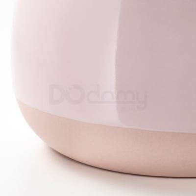 Живое растение SUCCULENT 203.432.76 IKEA (ИКЕА СОЧНЫЕ), фото 5