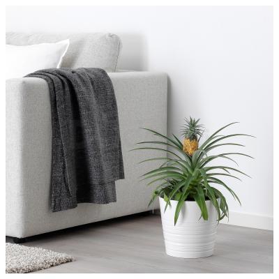 ANANAS 304.932.65 IKEA (ИКЕА АНАНАС), фото 3