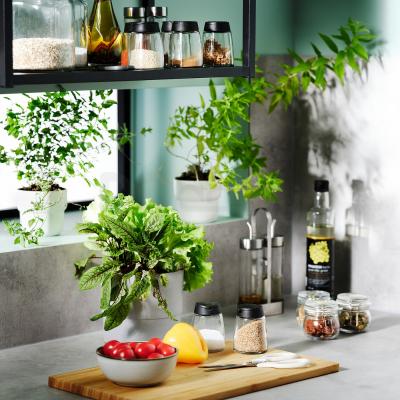 Набор для специй  365+ IHARDIG 201.528.70 IKEA (ИКЕА ИКЕА 365+ ИГЭРДИГ), фото 5