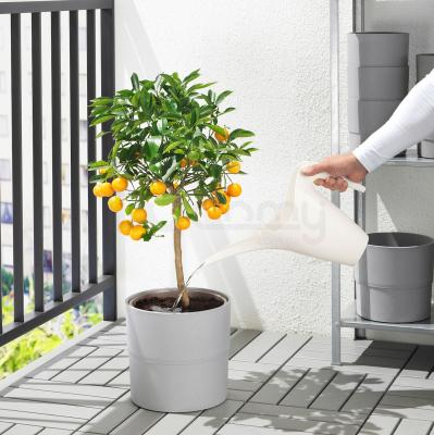 PS 2002 602.899.46 IKEA (ИКЕА ИКЕА ПС 2002), фото 3