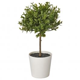 Штучна рослина FEJKA 404.933.78 IKEA (ИКЕА ФЕЙКА), фото