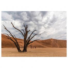 Картина PJÄTTERYD 205.004.31 IKEA (ИКЕА PJÄTTERYD), фото