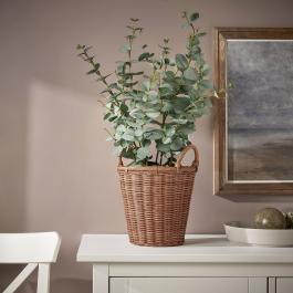 Горщик KAKTUSFIKON 504.968.66 IKEA (ИКЕА КАКТУСФОН), фото