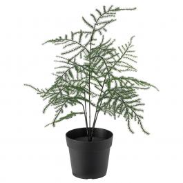 Искусственное растение FEJKA 504.966.11 IKEA (ИКЕА ФЕЙКА), фото