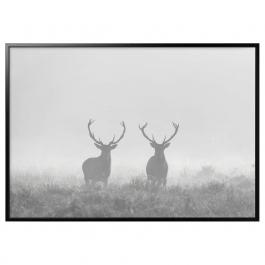 Картина з рамою BJÖRKSTA 693.849.63 IKEA (ИКЕА BJÖRKSTA), фото