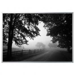 Картина  BJORKSTA 494.168.61 IKEA (ИКЕА БЬЁРКСТА), фото