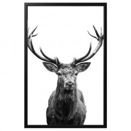 Картина  BJÖRKSTA 592.977.73 IKEA (ИКЕА БЬЁРКСТА), фото