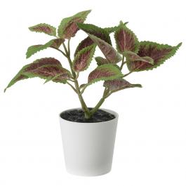 Искусственное растение FEJKA 104.966.08 IKEA (ИКЕА ФЕЙКА), фото